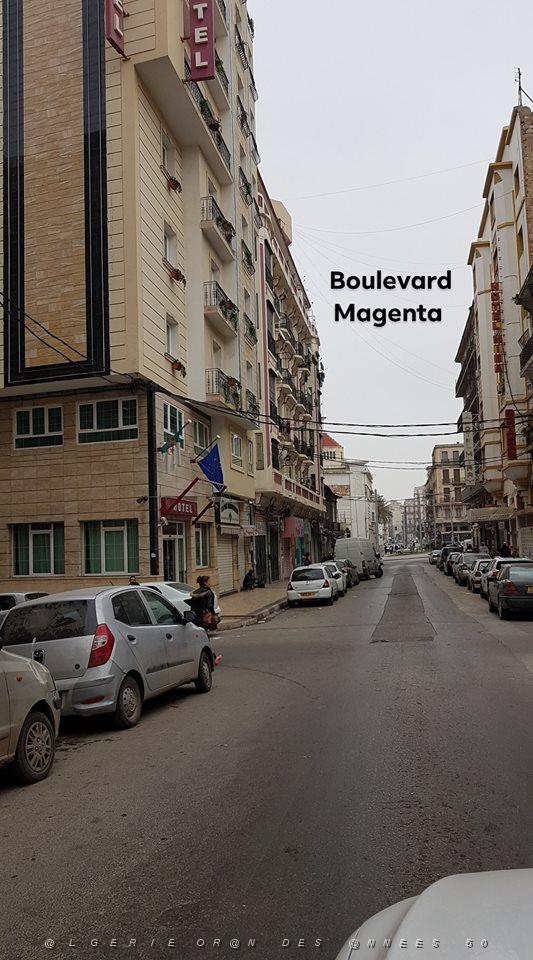ORAN BD MAGENTA 2.jpg